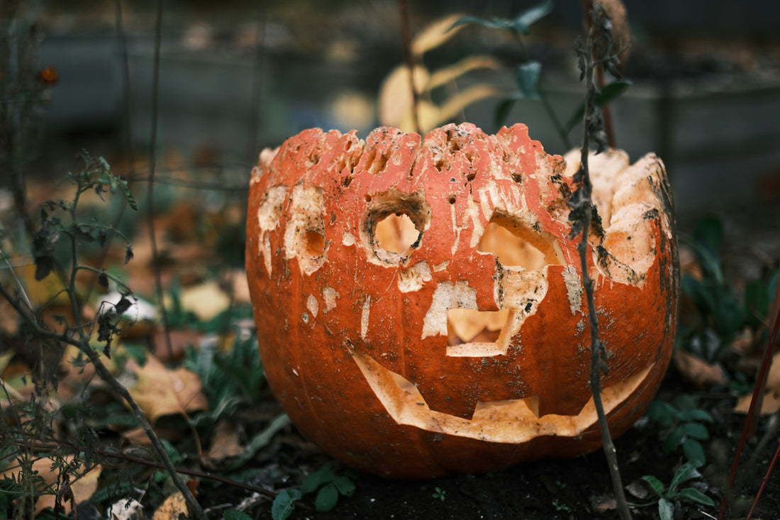 How To Make Your Pumpkin Carvings Last Longer