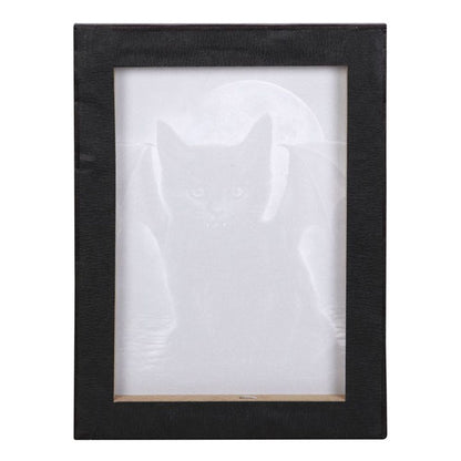 Bat Cat Canvas by Spiral Direct