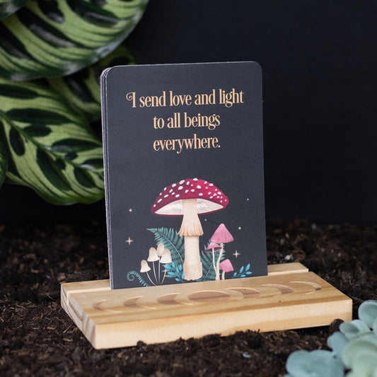 Dark Forest Affirmation Cards and Stand Set