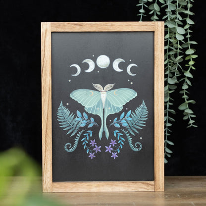 Luna Moth Wooden Framed Wall Print