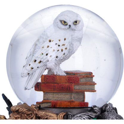 Hedwig Snow Globe