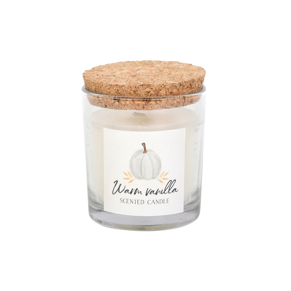 Cosy Pumpkin Warm Vanilla Fragranced Candle