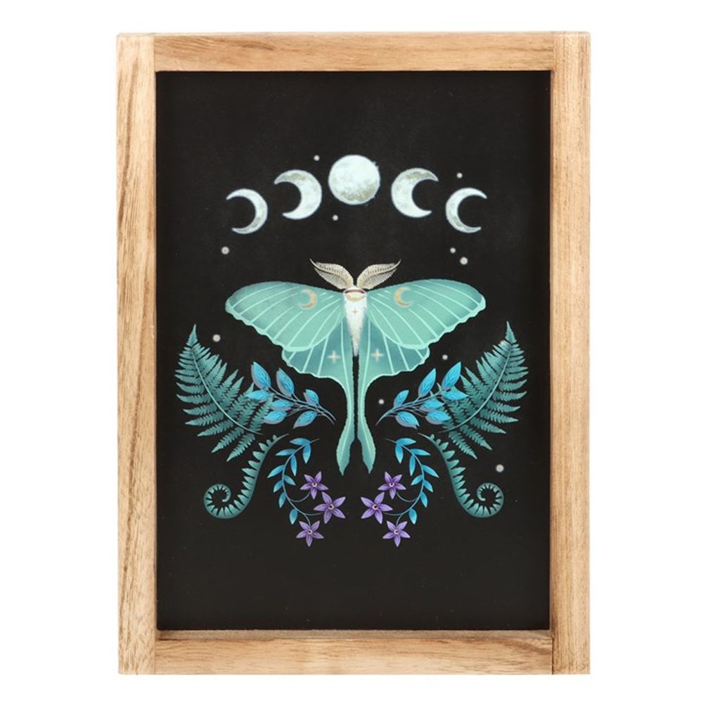 Luna Moth Wooden Framed Wall Print