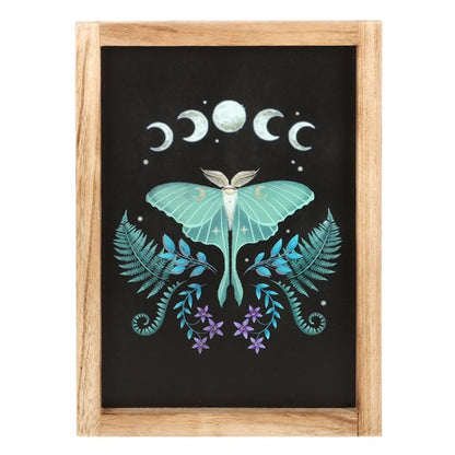 Luna Moth Wooden Framed Wall Print