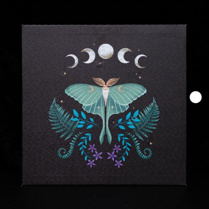 Luna Moth Light Up Canvas Plaque