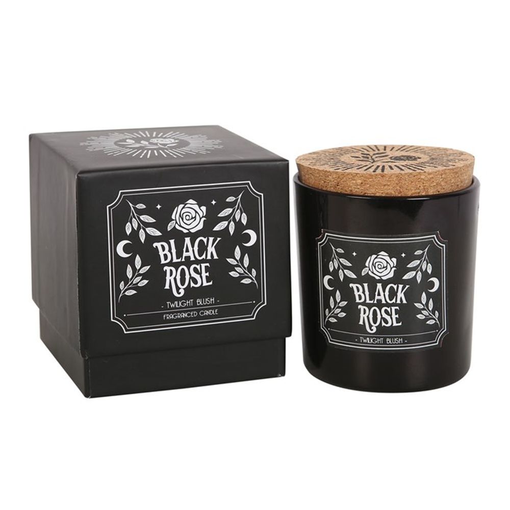 Black Rose Infused Twilight Blush Candle